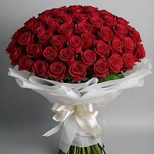 Букет 101 Красная роза Блэк Мэджик в Новокаякенте