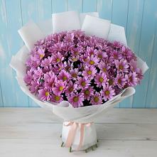 Букет цветов из:  Хризантемы #REPLACE_PRED# Новокаякенте