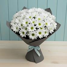 Букет цветов из:  Хризантемы #REPLACE_PRED# Новокаякенте