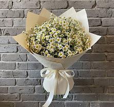Букет цветов из:  Ромашки #REPLACE_PRED# Новокаякенте