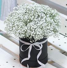 Цветочная композиция из Гипсофила в шляпной коробке #REPLACE_PRED# Новокаякенте