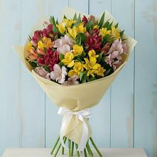 Букет цветов из:  Альстромерии в Новокаякенте