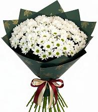 Букет цветов из:  Хризантемы в Новокаякенте