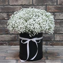 Цветочная композиция из Гипсофила в шляпной коробке в Новокаякенте