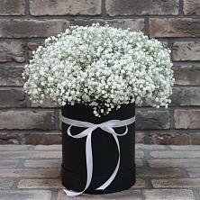 Цветочная композиция из Гипсофила в шляпной коробке в Новокаякенте