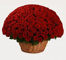 Премиум букет из: Розы #REPLACE_PRED# Новокаякенте