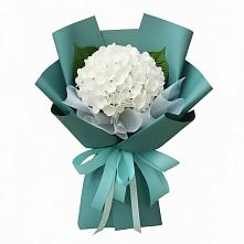Букет цветов из:  Гортензия в Новокаякенте